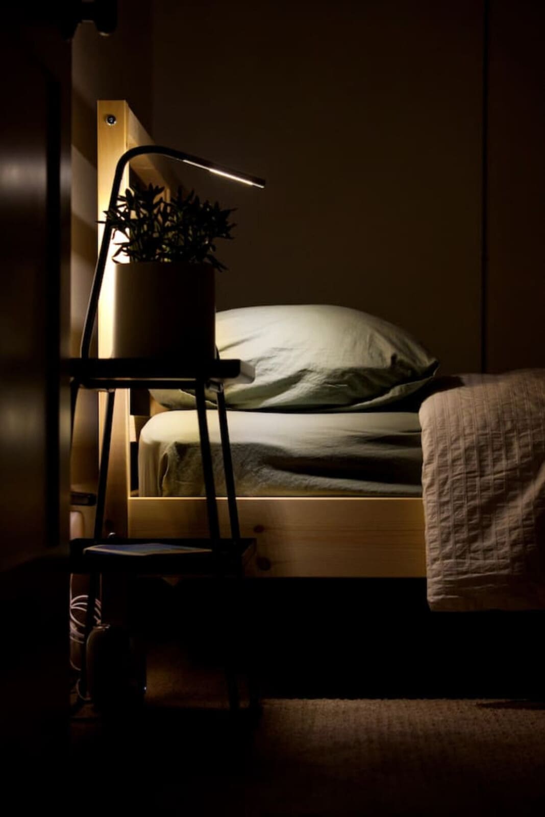 129900 334422 1TYADO2nHlLgc3jpL ydH3zg43VJP2YbpAUwDWz5M20 67475f3293b6f.jpg