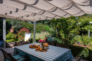 Guest Experiences