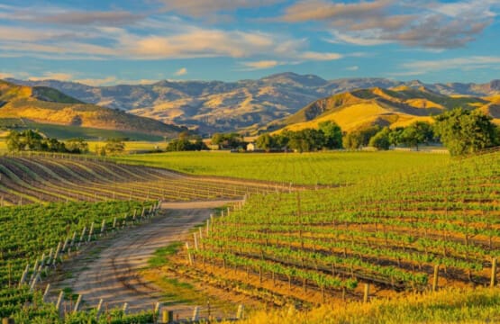 SY valley