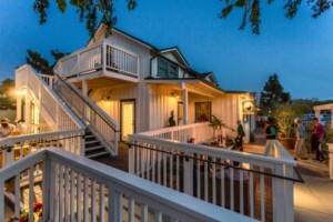 Sunlit interior reflecting the Stay Hello Sunshine design philosophy with warm textures and natural light